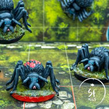Cave Spiders